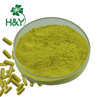 HPLC Quercetin 95% Herbal Sophora Japonica Extract