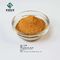 Extrato natural Salvianolic B ácido CAS 121521-90-2 da planta