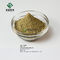 Extrato ácido da folha do Loquat de Ursolic para cuidados médicos e cosméticos
