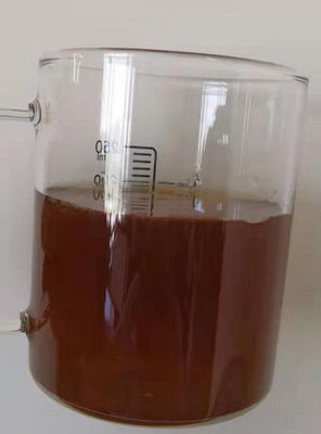 Pó erval do extrato de Antimetabolic, extrato de Ashitaba para bebidas solúveis em água