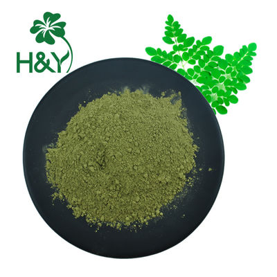 GMO verde livra 60 Mesh Moringa Leaf Extract Powder